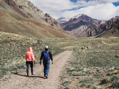 Seguridad en el camino